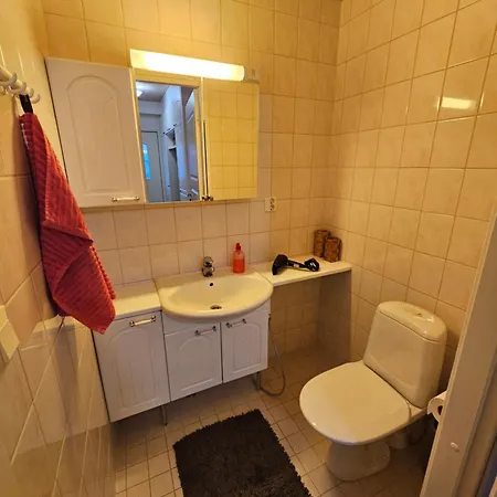 Kotoisa Rivitalokaksio Lammilla & Easy Check In * Lammi