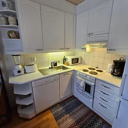 Appartement Kotoisa Rivitalokaksio Lammilla & Easy Check In *