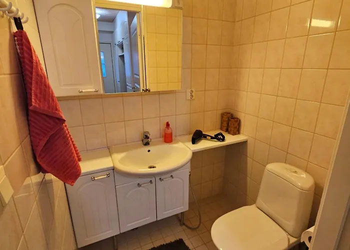 Kotoisa Rivitalokaksio Lammilla & Easy Check In * Lammi