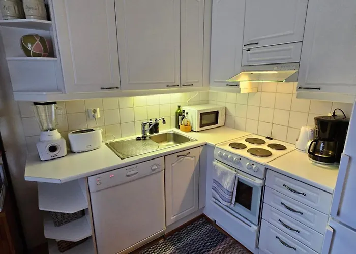 Appartement Kotoisa Rivitalokaksio Lammilla & Easy Check In *
